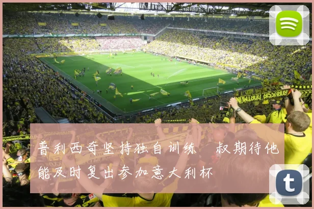 普利西奇坚持独自训练囧叔期待他能及时复出参加意大利杯