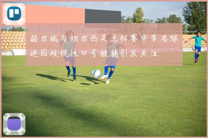 赫尔城与切尔西足总杯赛中多名球迷因歧视性口号被捕引发关注