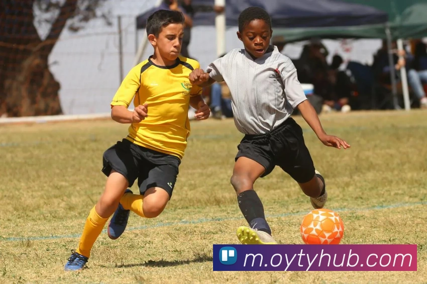 欧亚体育平台生态图